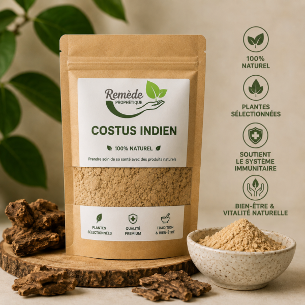Costus Indien