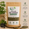 Feuilles de Cassis