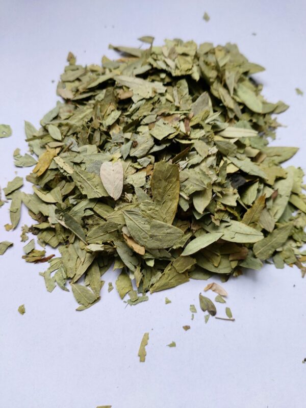 Feuilles de séné   "Sana Maki"